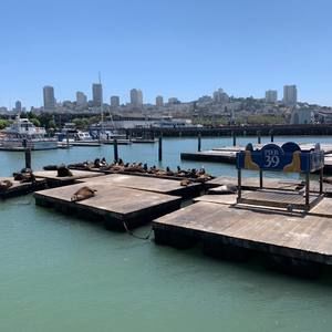 Meet your Posher, Priscilla